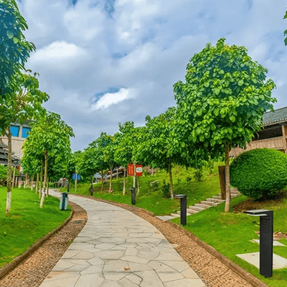 Aurinkopuutarhavalaisin - Moderni Ulkokäyttöön